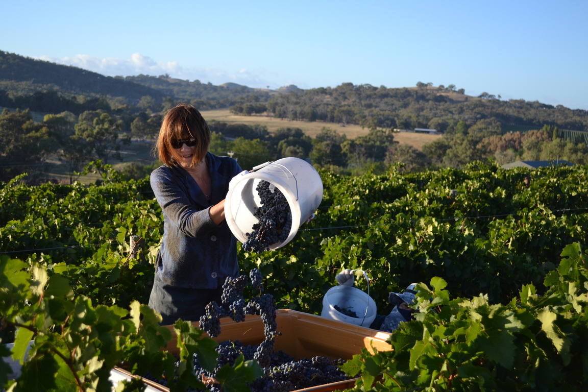 Serengale Vineyard & Retreat