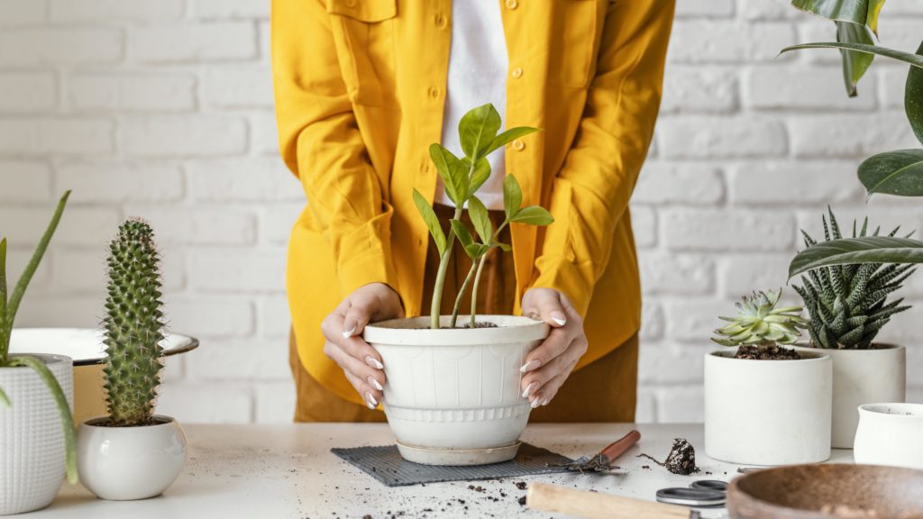 Por qué añadir plantas a tu alquiler vacacional es una idea brillante