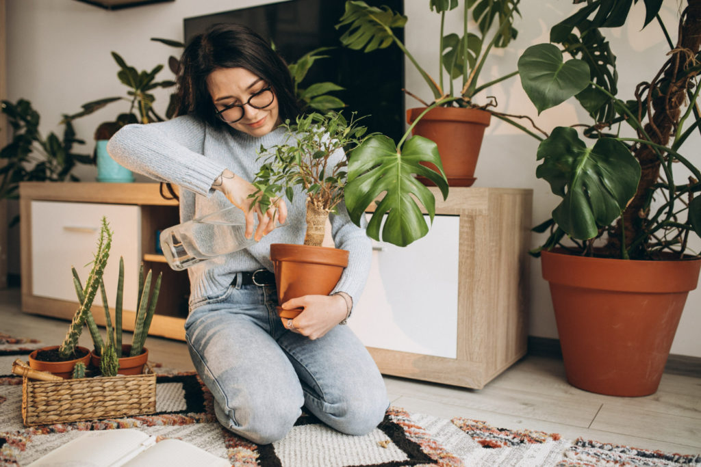 Why adding plants to your vacation rental is a brilliant idea